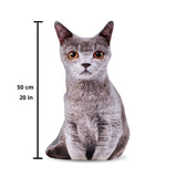 Grey Cat 3D Pillow-Shelfies-| All-Over-Print Everywhere - Designed to Make You Smile