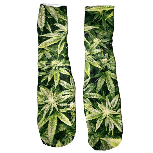 Kush Leaves Foot Glove Socks-Shelfies-One Size-| All-Over-Print Everywhere - Designed to Make You Smile