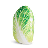 Cabbage 3D Pillow-Shelfies-| All-Over-Print Everywhere - Designed to Make You Smile