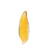 Corn On The Cob 3D Pillow-Shelfies-50cm-| All-Over-Print Everywhere - Designed to Make You Smile