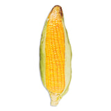 Corn On The Cob 3D Pillow-Shelfies-70cm-| All-Over-Print Everywhere - Designed to Make You Smile