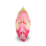 Dragon Fruit 3D Pillow-Shelfies-Dragon Fruit-| All-Over-Print Everywhere - Designed to Make You Smile