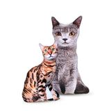 Grey Cat 3D Pillow-Shelfies-| All-Over-Print Everywhere - Designed to Make You Smile