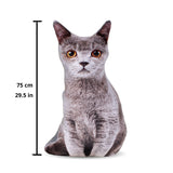 Grey Cat 3D Pillow-Shelfies-| All-Over-Print Everywhere - Designed to Make You Smile