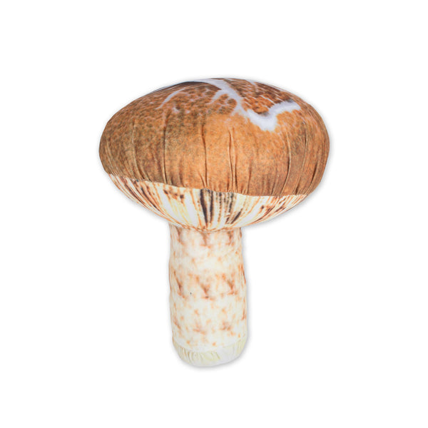 Shiitake Mushroom 3D Pillow-Shelfies-Mushroom-| All-Over-Print Everywhere - Designed to Make You Smile