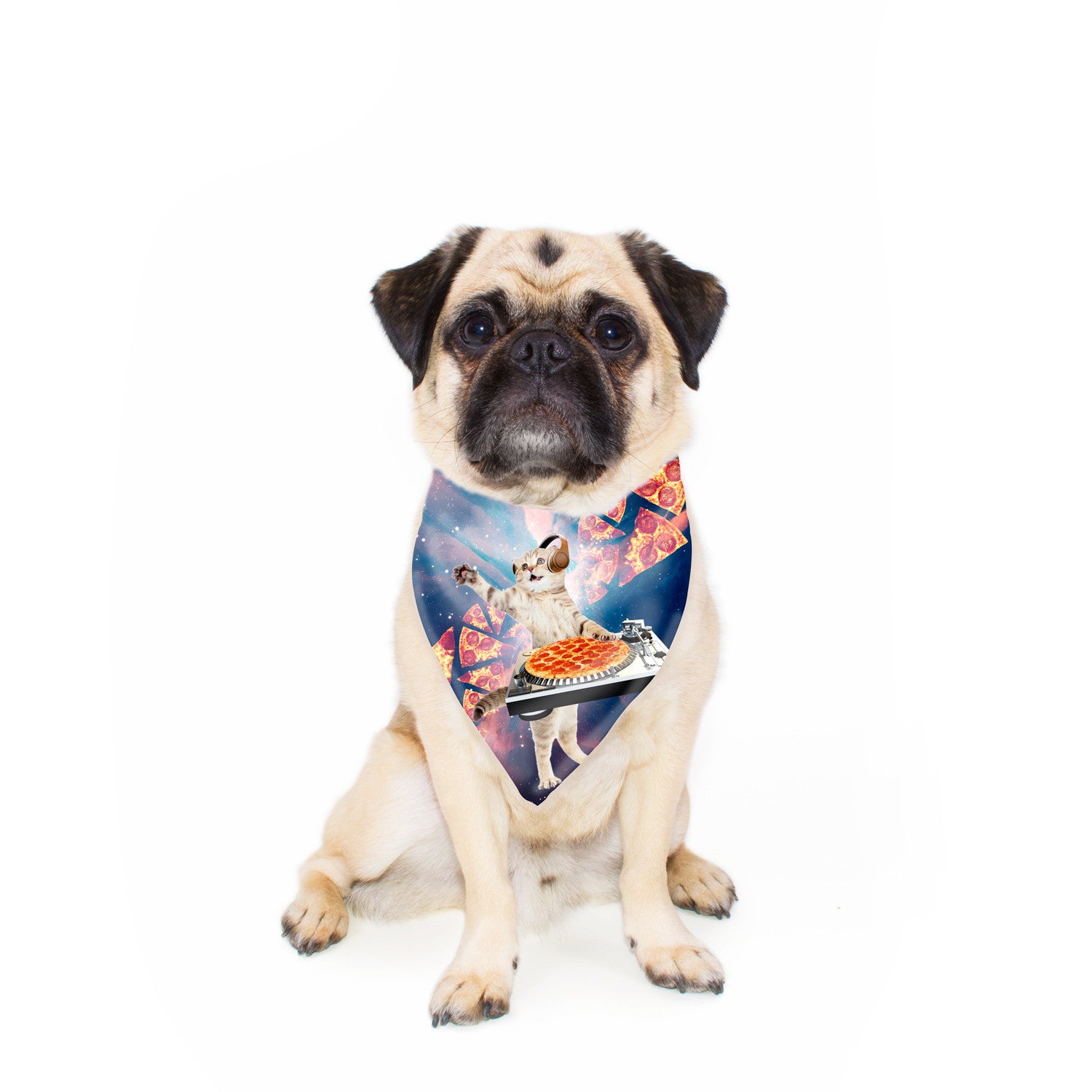 Pizza dog bandana on sale