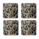 Scaredy Cat Invasion Coaster Set-Gooten-Set of 4-| All-Over-Print Everywhere - Designed to Make You Smile