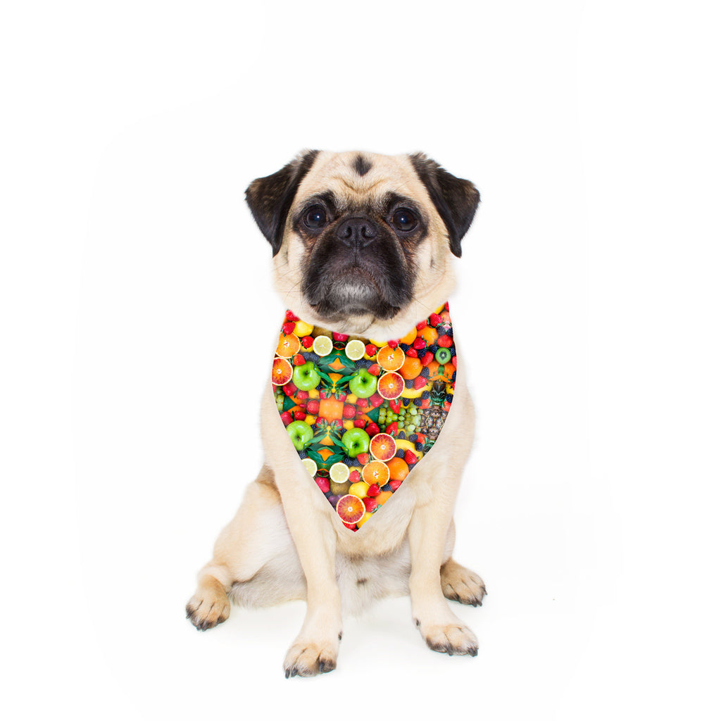 Fruit Explosion Pet Bandana-Gooten-24x24 inch-| All-Over-Print Everywhere - Designed to Make You Smile