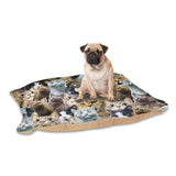 Scaredy Cat Invasion Pet Bed-teelaunch-One Size-| All-Over-Print Everywhere - Designed to Make You Smile