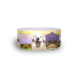 Smiling Dog Pet Bowl-teelaunch-One Size-| All-Over-Print Everywhere - Designed to Make You Smile