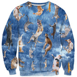 It's Raining Cats And Dogs Sweater-Shelfies-| All-Over-Print Everywhere - Designed to Make You Smile
