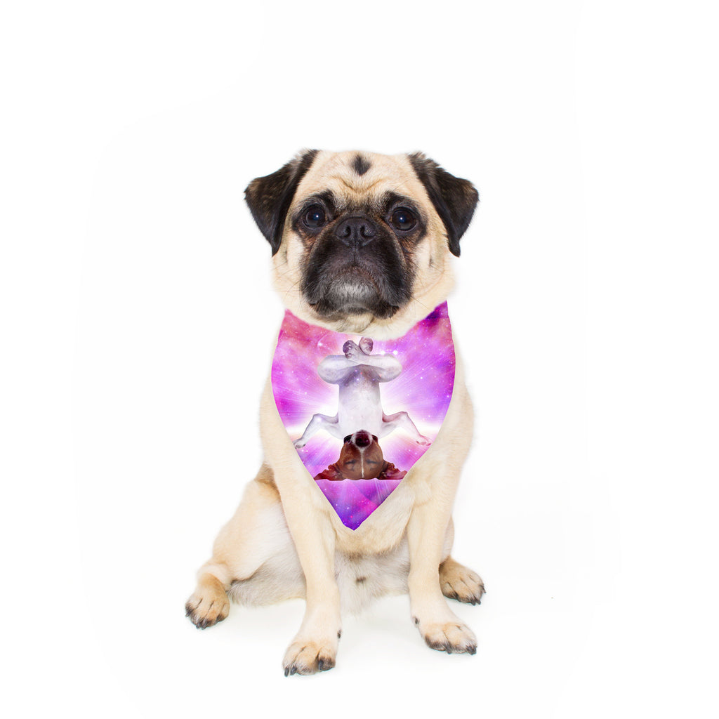 Yogi Dog Pet Bandana-Gooten-24x24 inch-| All-Over-Print Everywhere - Designed to Make You Smile